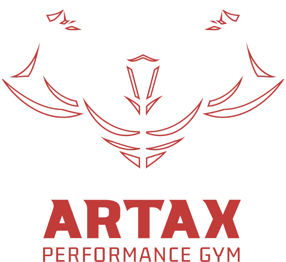 Artax logo outline